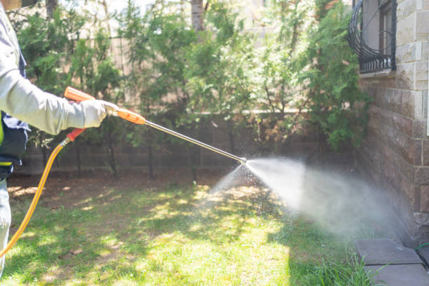 Best Outdoor Pest Control  in Rome, GA